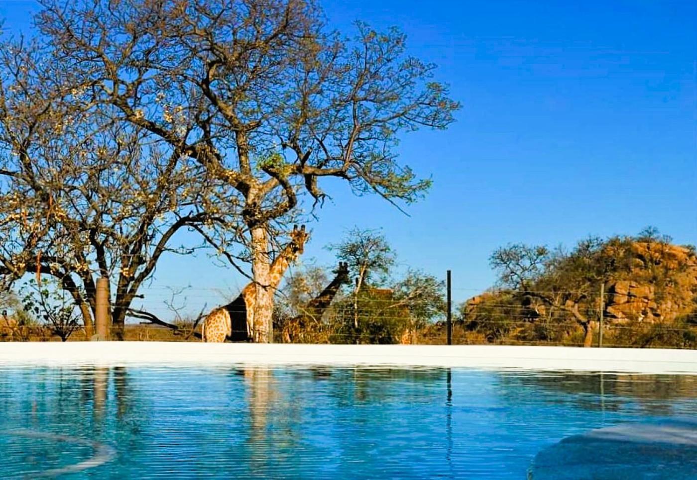 Hotel Ngalali Retreat Grietjie Game Reserve Esterno foto