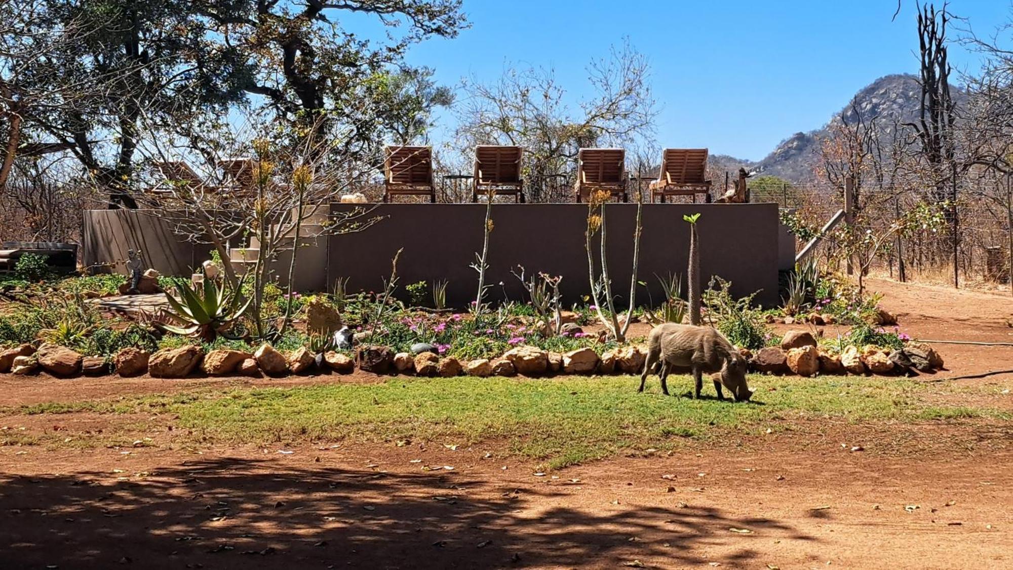 Hotel Ngalali Retreat Grietjie Game Reserve Esterno foto