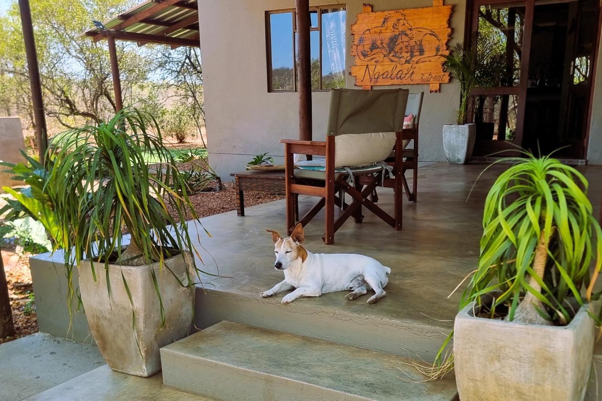 Hotel Ngalali Retreat Grietjie Game Reserve Esterno foto
